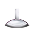 Calvin Klein Euphoria Eau de Parfum100ml "Tester"
